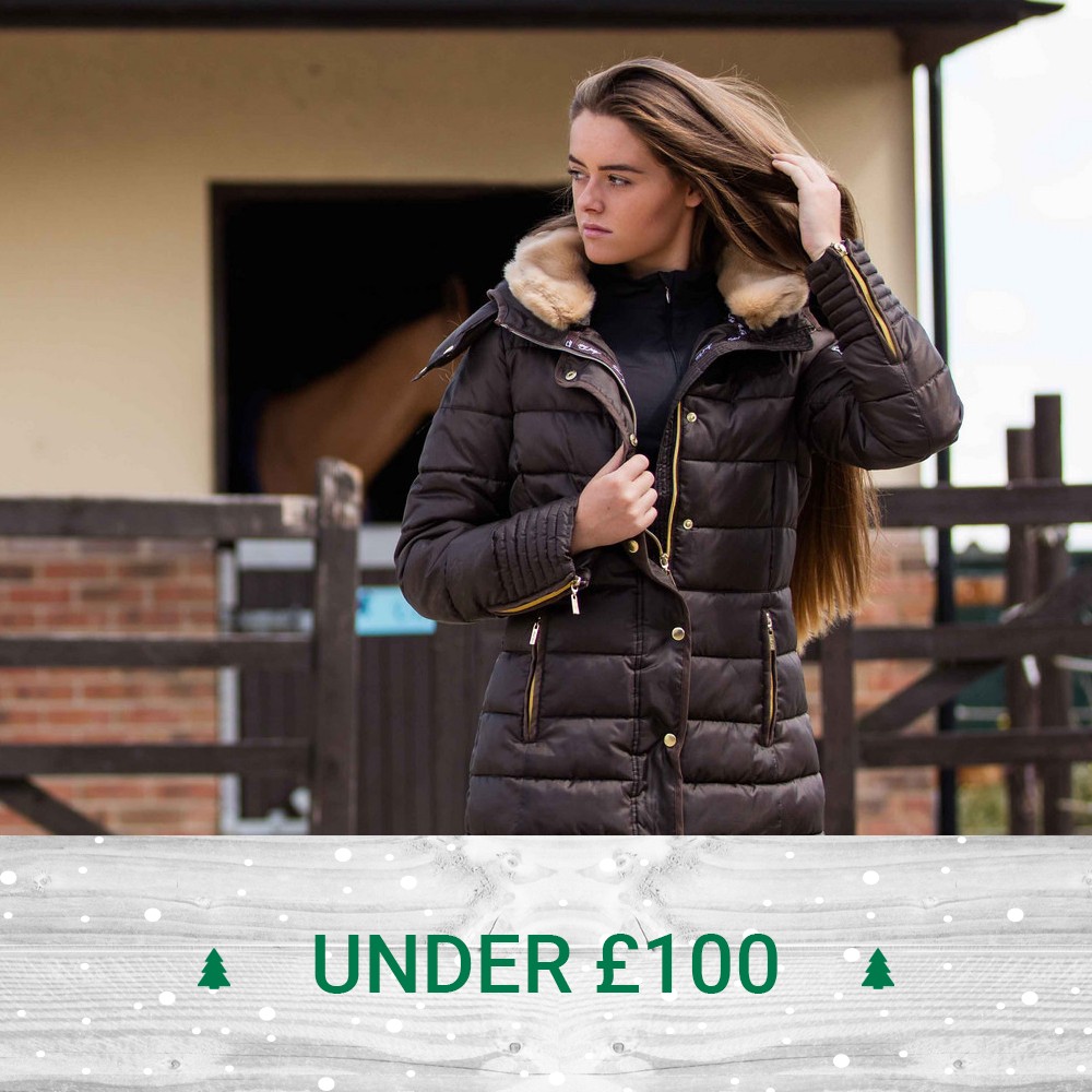 Gifts under £100
